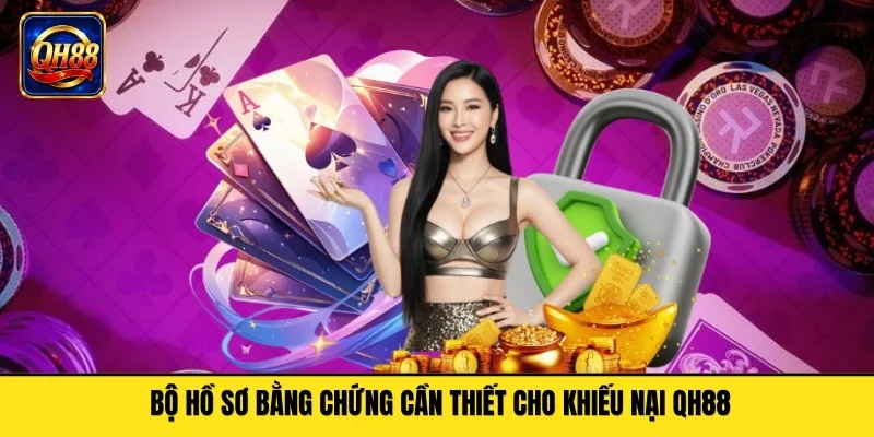 Bộ hồ sơ bằng chứng cần thiết cho khiếu nại QH88
