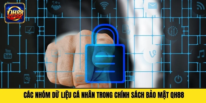 Các nhóm dữ liệu cá nhân trong chính sách bảo mật QH88