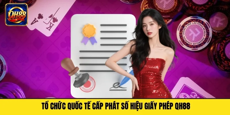 Tổ chức quốc tế cấp phát số hiệu giấy phép QH88