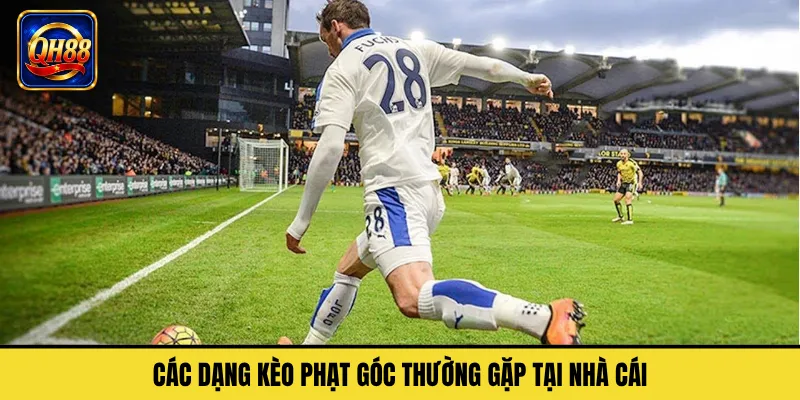 Các Dạng Kèo Phạt Góc Thường Gặp Tại Nhà Cái