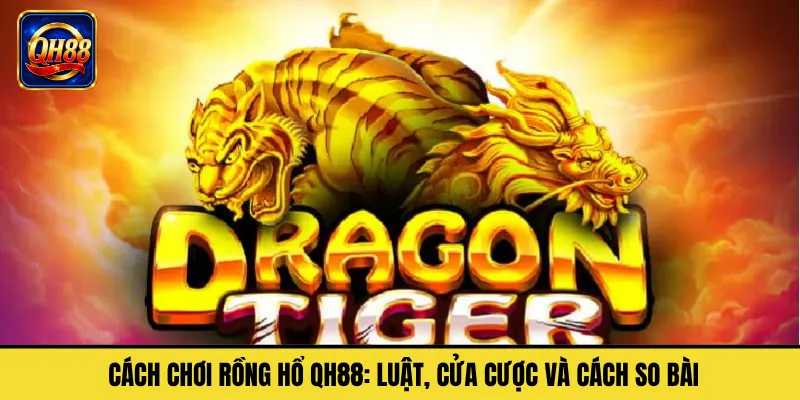 Cách Chơi Rồng Hổ QH88: Luật, Cửa Cược Và Cách So Bài