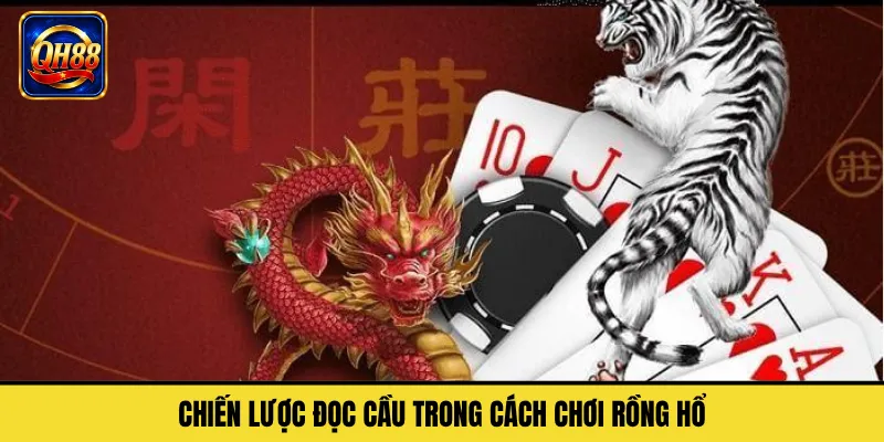 Chiến Lược Đọc Cầu Trong Cách Chơi Rồng Hổ